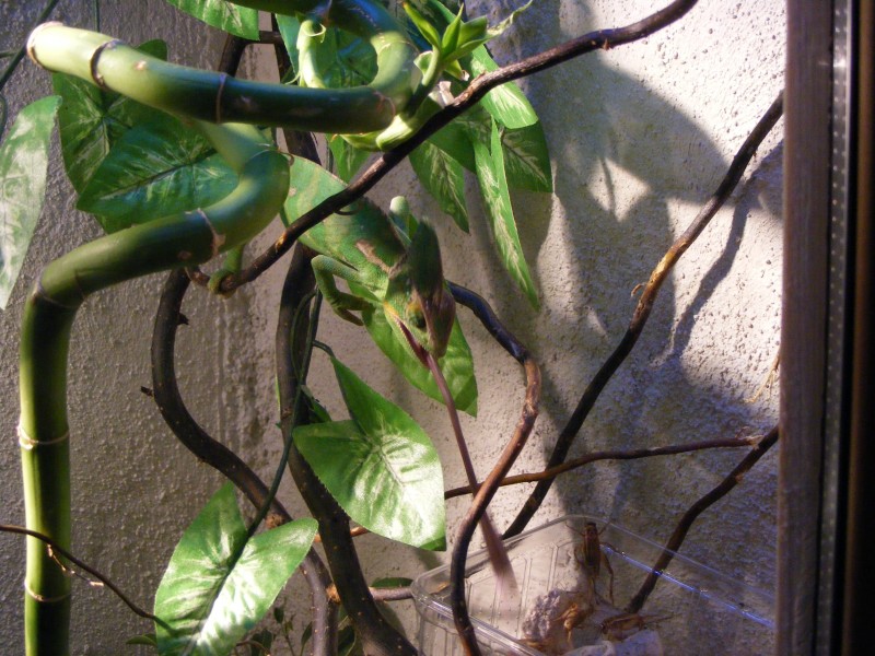 2008_06150073.jpg