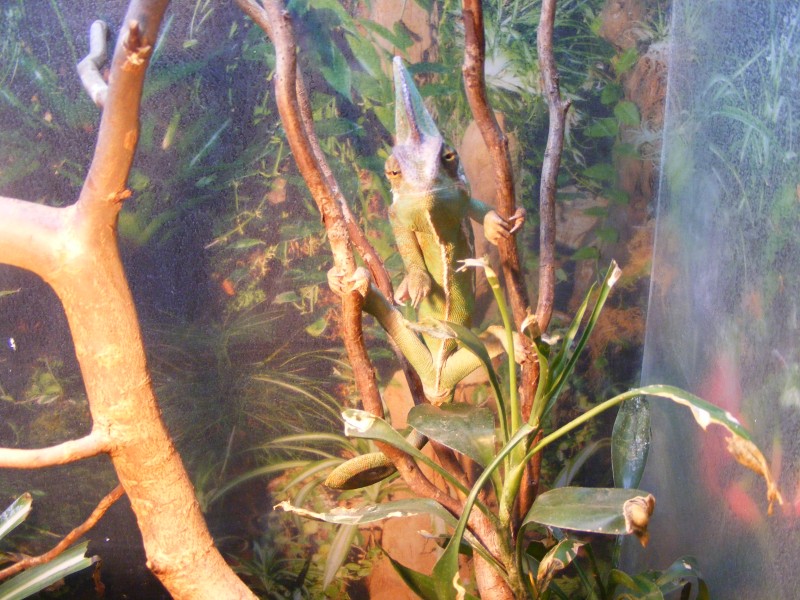 DSCF0013.jpg