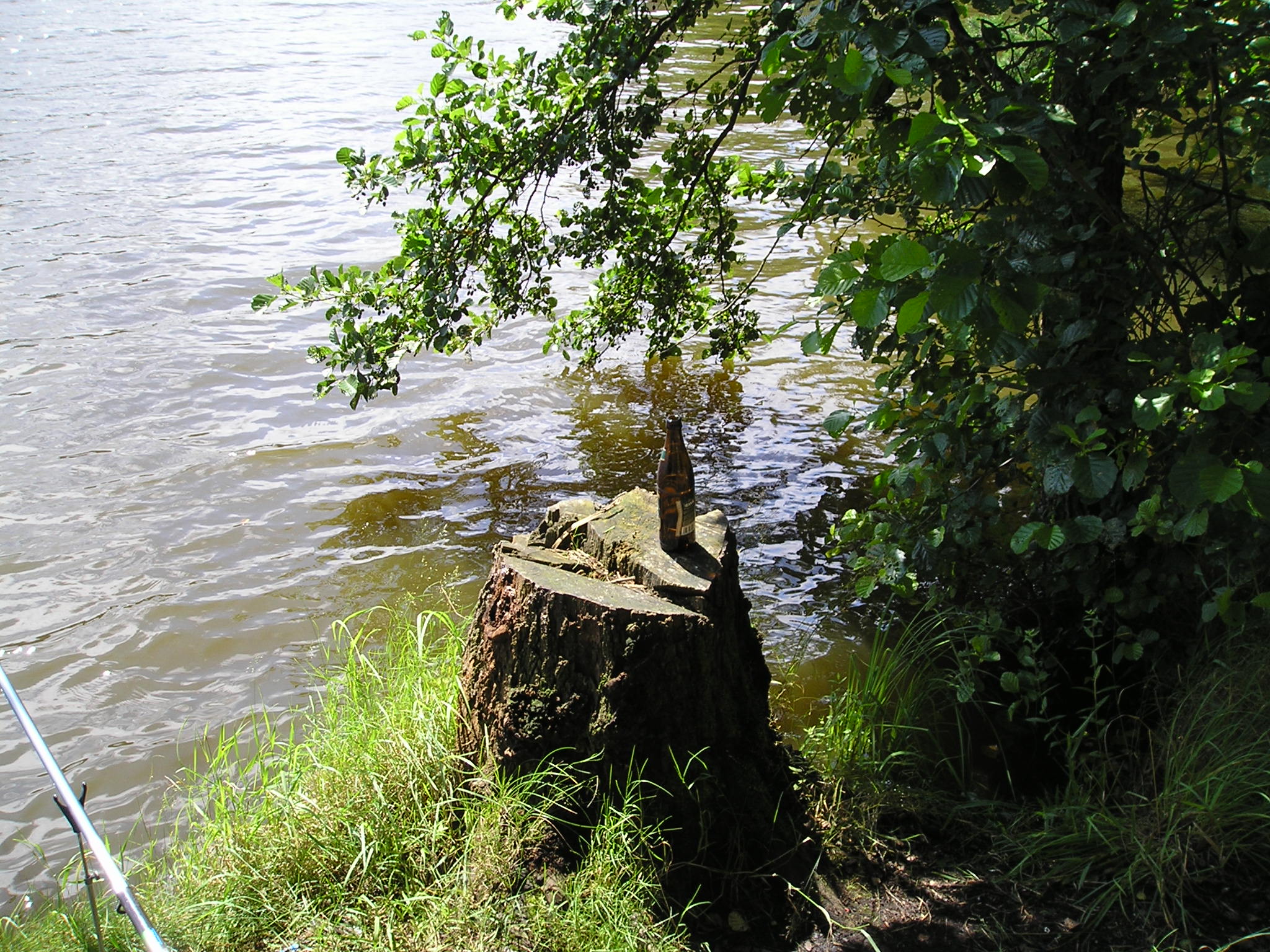 Bonětice-zátiší.JPG