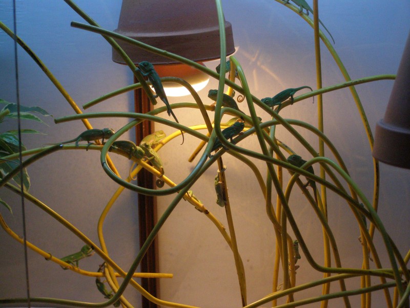 P3190008.jpg