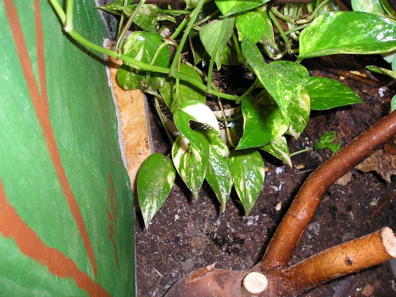 P10100201